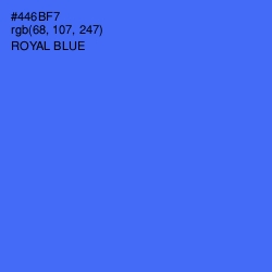 #446BF7 - Royal Blue Color Image