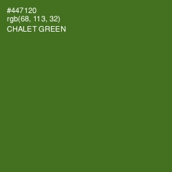 #447120 - Chalet Green Color Image