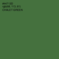 #44713D - Chalet Green Color Image