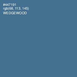 #447191 - Wedgewood Color Image