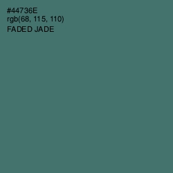 #44736E - Faded Jade Color Image