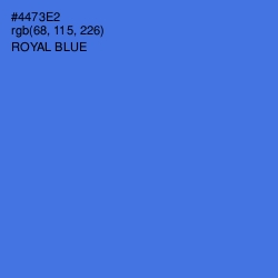 #4473E2 - Royal Blue Color Image