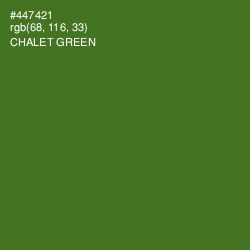 #447421 - Chalet Green Color Image