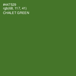 #447529 - Chalet Green Color Image