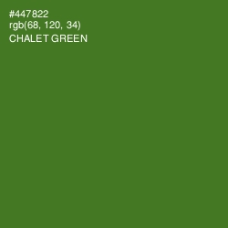 #447822 - Chalet Green Color Image