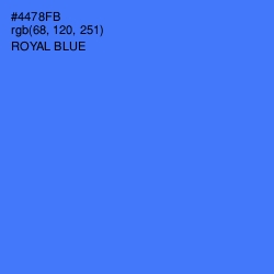 #4478FB - Royal Blue Color Image