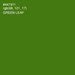 #447911 - Green Leaf Color Image