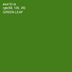 #447E1A - Green Leaf Color Image