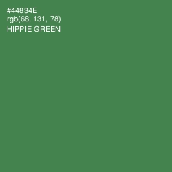 #44834E - Hippie Green Color Image
