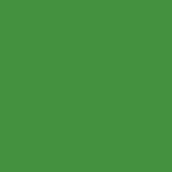 #449140 - Hippie Green Color Image