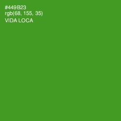 #449B23 - Vida Loca Color Image