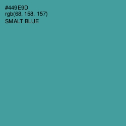 #449E9D - Smalt Blue Color Image