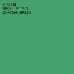 #44A16B - Chateau Green Color Image