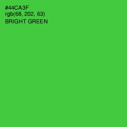 #44CA3F - Bright Green Color Image
