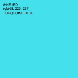 #44E1ED - Turquoise Blue Color Image