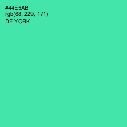 #44E5AB - De York Color Image