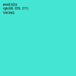 #44E5D3 - Viking Color Image