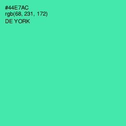 #44E7AC - De York Color Image