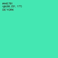 #44E7B1 - De York Color Image