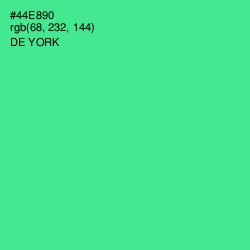 #44E890 - De York Color Image
