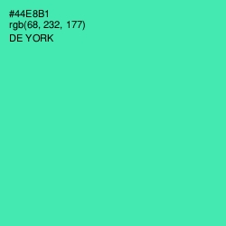 #44E8B1 - De York Color Image