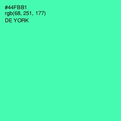 #44FBB1 - De York Color Image