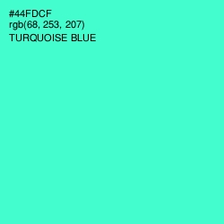 #44FDCF - Turquoise Blue Color Image