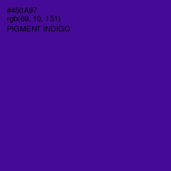#450A97 - Pigment Indigo Color Image