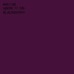 #45113B - Blackberry Color Image