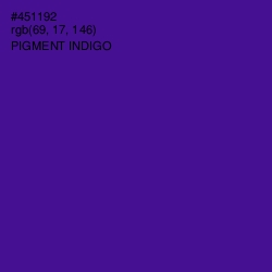 #451192 - Pigment Indigo Color Image