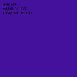 #45119F - Pigment Indigo Color Image