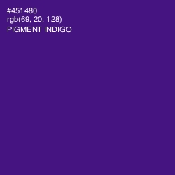 #451480 - Pigment Indigo Color Image