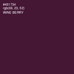 #451734 - Wine Berry Color Image