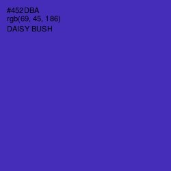 #452DBA - Daisy Bush Color Image