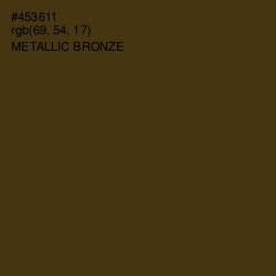 #453611 - Metallic Bronze Color Image