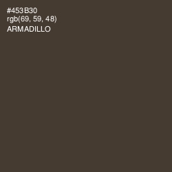 #453B30 - Armadillo Color Image
