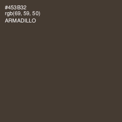 #453B32 - Armadillo Color Image