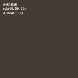 #453B35 - Armadillo Color Image