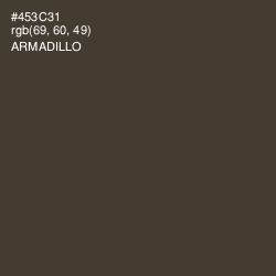 #453C31 - Armadillo Color Image