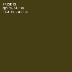 #453D13 - Thatch Green Color Image