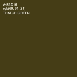 #453D15 - Thatch Green Color Image