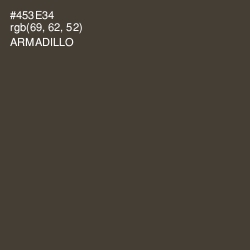 #453E34 - Armadillo Color Image