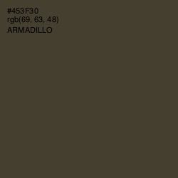 #453F30 - Armadillo Color Image