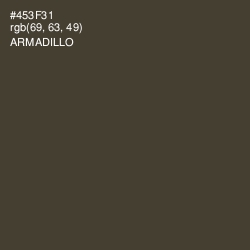 #453F31 - Armadillo Color Image