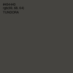 #454440 - Tundora Color Image