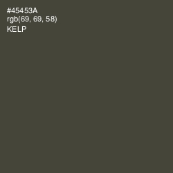 #45453A - Kelp Color Image