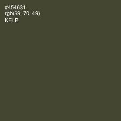 #454631 - Kelp Color Image