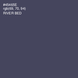 #45465E - River Bed Color Image