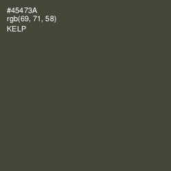 #45473A - Kelp Color Image