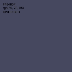 #45485F - River Bed Color Image